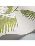 Cole & Son Palm Jungle Wallpaper, Leaf Green On White, 95/1009