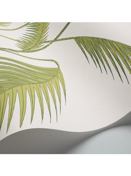 Cole & Son Palm Jungle Wallpaper - view 2, Leaf Green On White, 95/1009