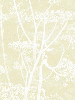 Cole & Son Cow Parsley Wallpaper, Straw / White, 95/9053