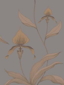 Cole & Son Orchid Wallpaper, Bronze On Slate, 95/10056