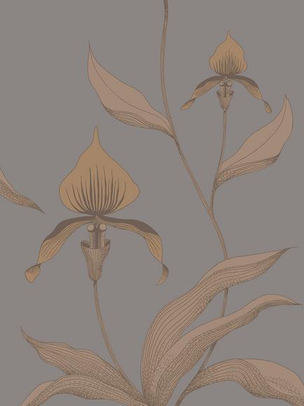 Cole & Son Orchid Wallpaper, Bronze On Slate, 95/10056