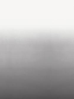 Designers Guild Saraille Digital Print Wallpaper, Graphite, P600/11