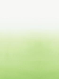 Designers Guild Saraille Digital Print Wallpaper, Grass, P600/08
