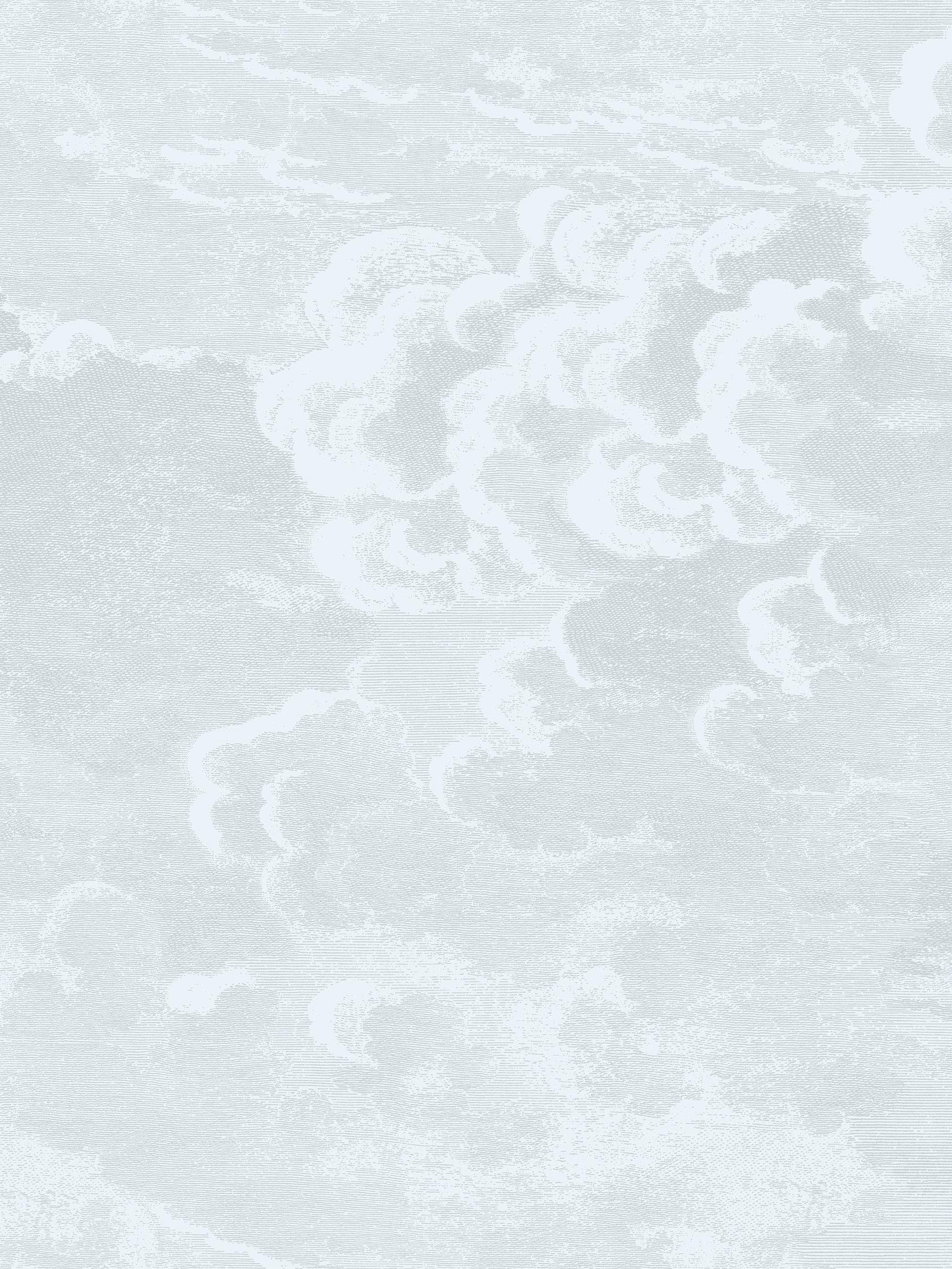Cole & Son Nuvolette Paste the Wall Wallpaper Set