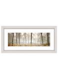 John Lewis Mike Shepherd 'Morning Woodland' Framed Print, 52 x 107cm