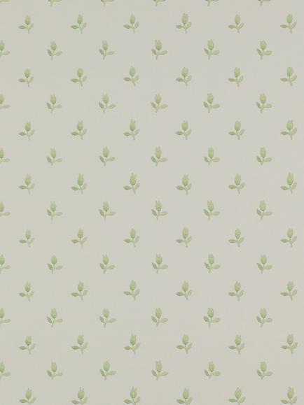 Colefax and Fowler Sudbury Park Wallpaper, Green, 07986/04