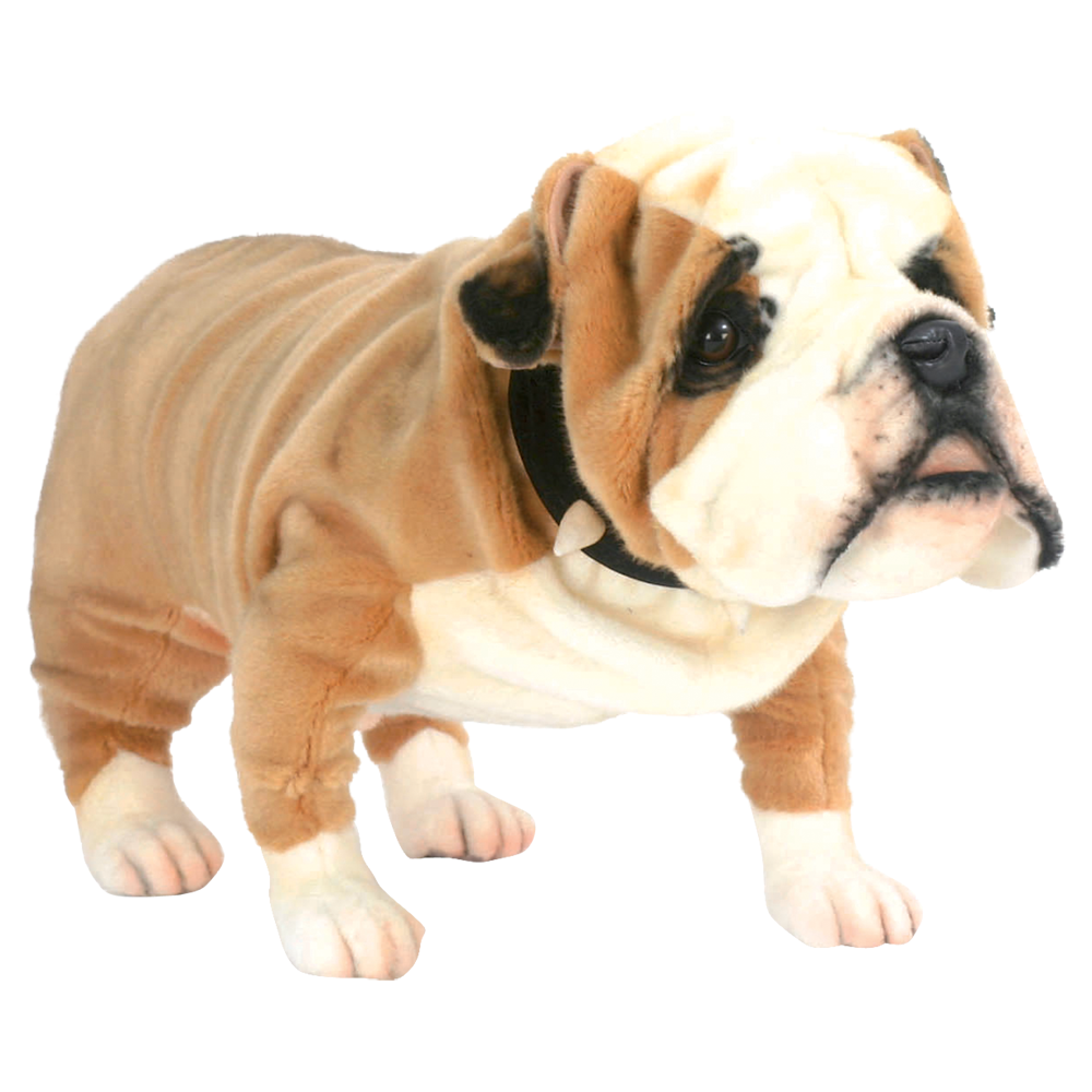 Toy british bulldog new arrivals
