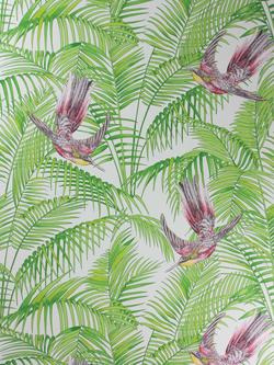 Matthew Williamson Sunbird Wallpaper, Ruby / Kiwi, W6543-02