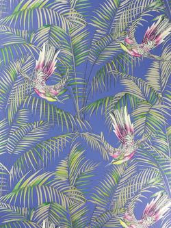Matthew Williamson Sunbird Wallpaper, Electric Blue / Fuchsia, W6543-04