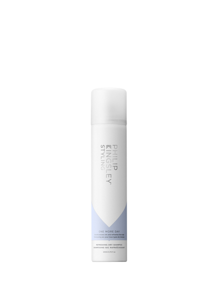 Philip Kingsley One More Day Dry Shampoo, 