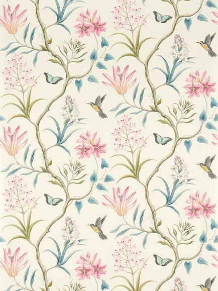 Sanderson Clementine Wallpaper, Dusky Pink, Dvoy213386