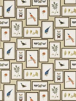 Sanderson Picture Gallery Wallpaper, Sand/Multi, Dvoy213399