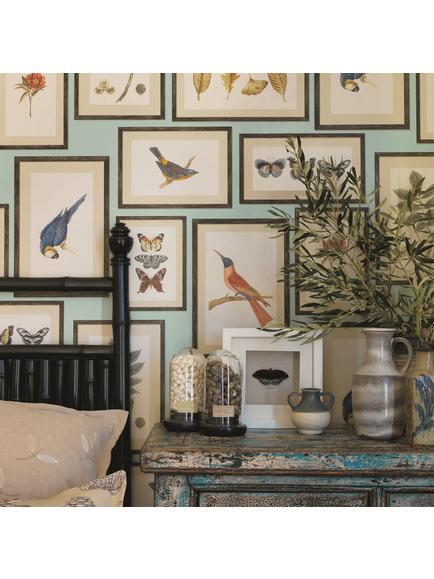 Sanderson Picture Gallery Wallpaper - view 2, Aqua/Multi, Dvoy213400