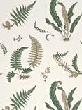 GP & J Baker Ferns Paste the Wall Wallpaper