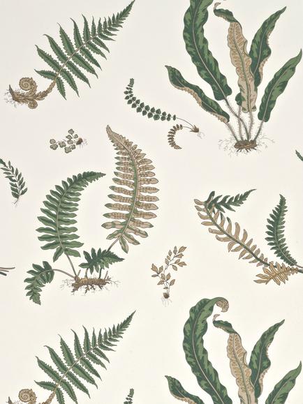 GP & J Baker Ferns Paste the Wall Wallpaper, Original Green, Bw45044/1