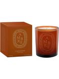 Diptyque Ambre Scented Candle, 300g