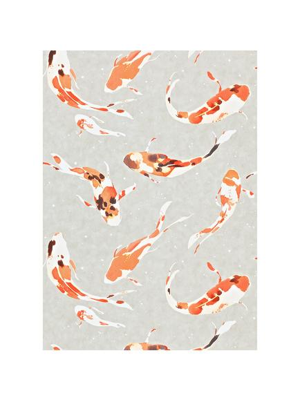 Harlequin Koi Wallpaper, Paprika 110903