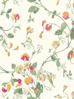 Cole & Son Sweet Pea Wallpaper, 
