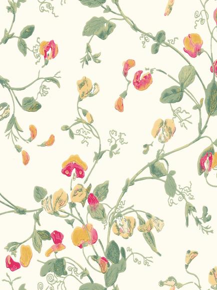 Cole & Son Sweet Pea Wallpaper, Sweet Pea 100/6027