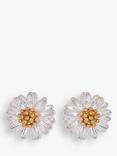 Estella Bartlett Mini Wildflower Silver Plated Earrings, Silver