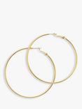 Melissa Odabash Large Hoop Earrings