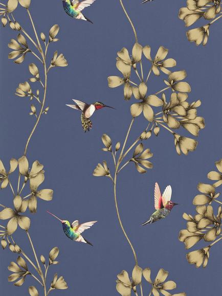 Harlequin Amazilia Wallpaper, Indigo, 111059