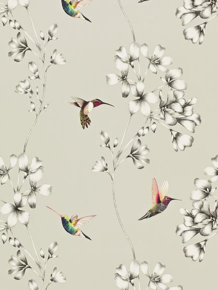 Harlequin Amazilia Wallpaper, Silver, 111062