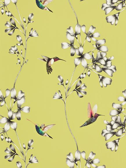 Harlequin Amazilia Wallpaper, Gooseberry, 111061