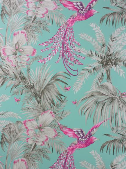 Matthew Williamson Bird of Paradise Wallpaper, Fuscia, W6655-07