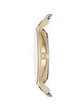 Skagen SKW2340 Women's Anita Mesh Bracelet Strap Watch, Silver