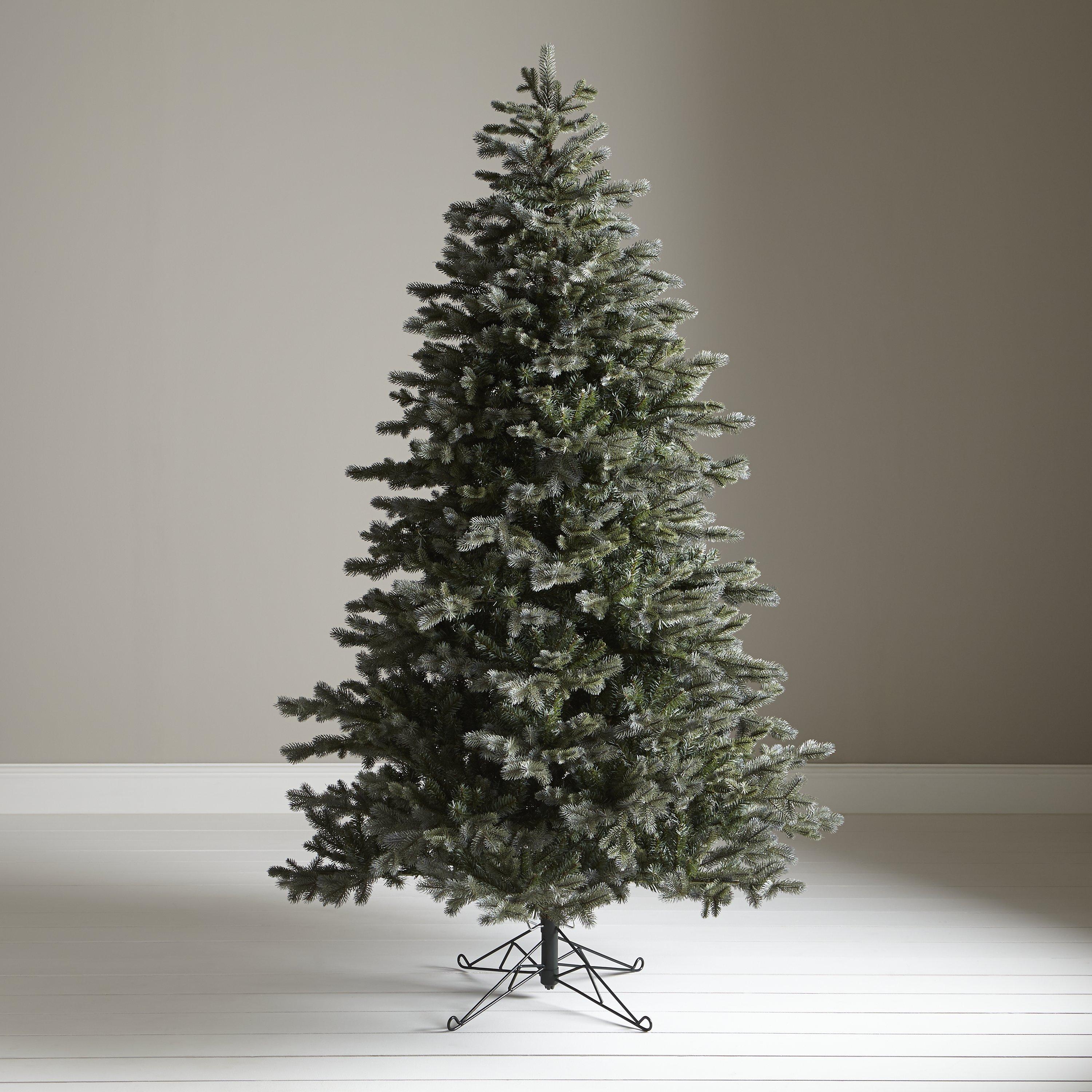 John Lewis Ostravia 7ft Whistler Fir Christmas Tree