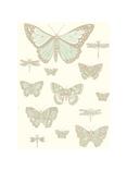 Cole & Son Butterflies & Dragonflies Wallpaper