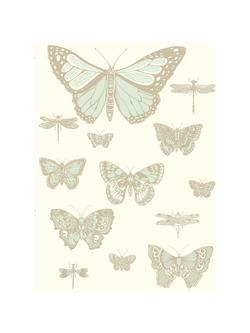 Cole & Son Butterflies & Dragonflies Wallpaper, Duck Egg & Metallic Gilver On Pale Cream