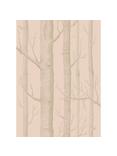 Cole & Son Woods Wallpaper, Metallic Gilver On Ballet Slipper