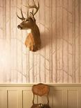 Cole & Son Woods Wallpaper, Metallic Gilver On Ballet Slipper