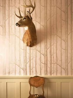 Cole & Son Woods Wallpaper - view 2, Metallic Gilver On Ballet Slipper