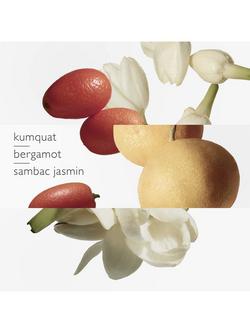 Hermès Jardin De Monsieur Li Eau de Toilette - view 2, 