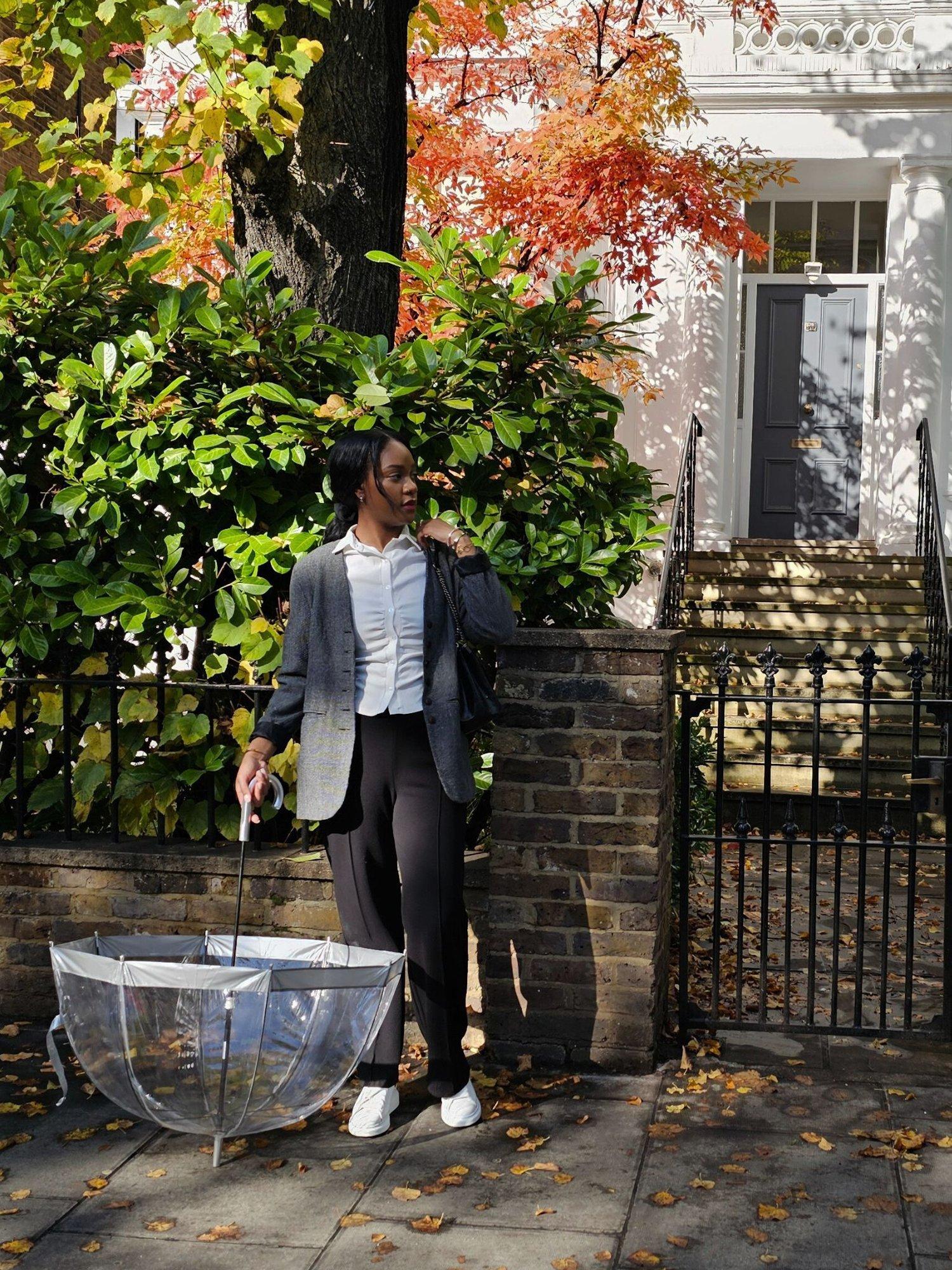 Product image 4 of 4, which shows Fulton L041 Birdcage Domed Umbrella, Silver