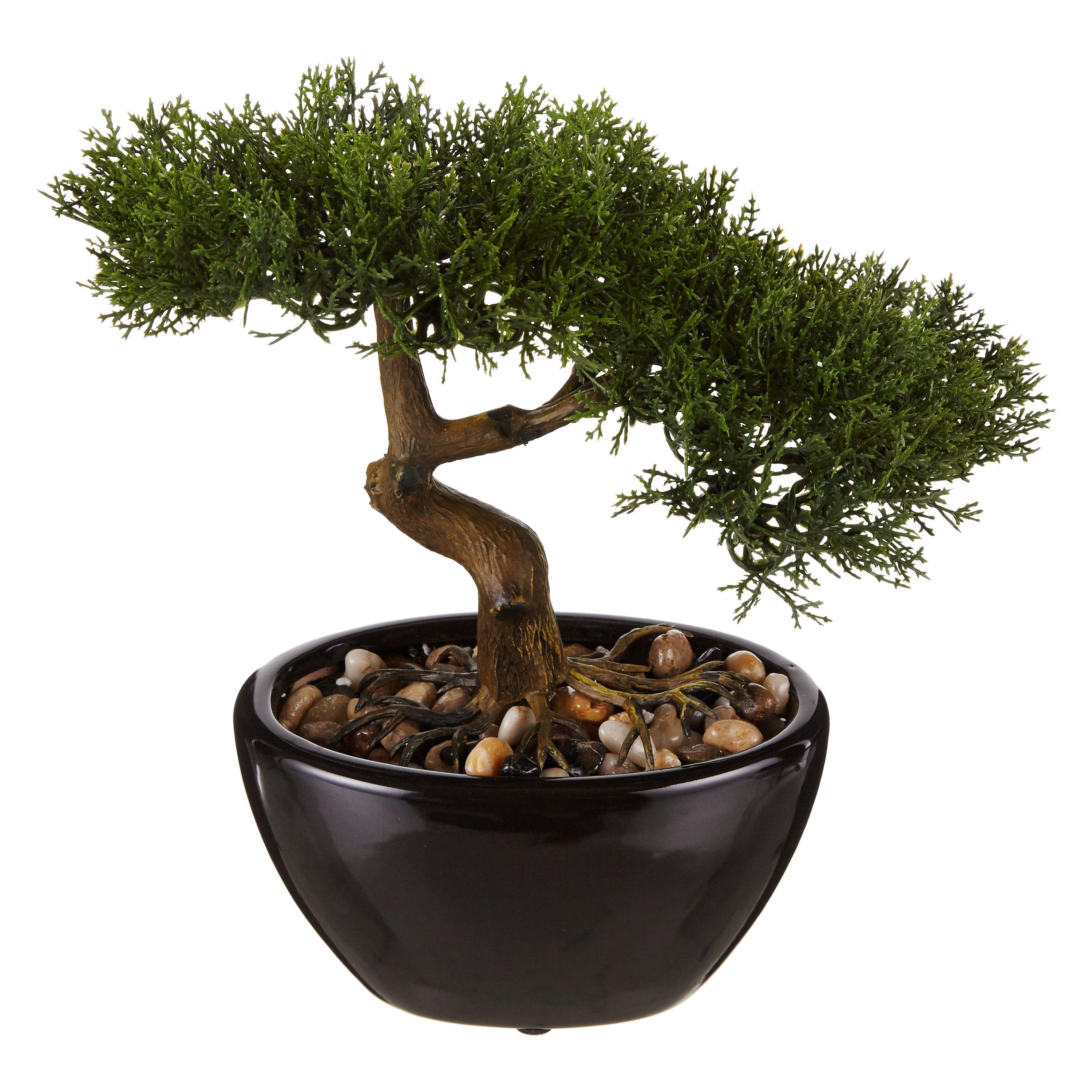 John Lewis Small Artificial Bonsai Tree