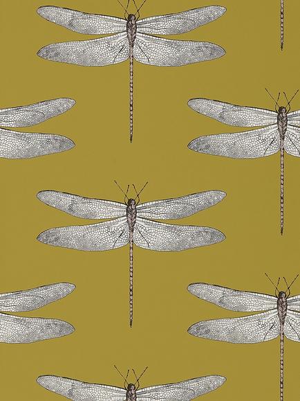 Harlequin Demoiselle Wallpaper, Ochre / Grape, 111244