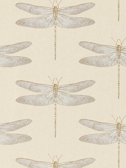Harlequin Demoiselle Wallpaper, Shell, 111239