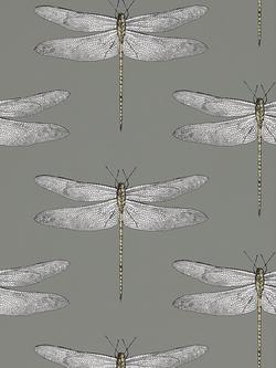 Harlequin Demoiselle Wallpaper, Graphite / Almond, 111242