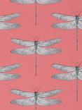 Harlequin Demoiselle Wallpaper, Coral / Mint, 111245