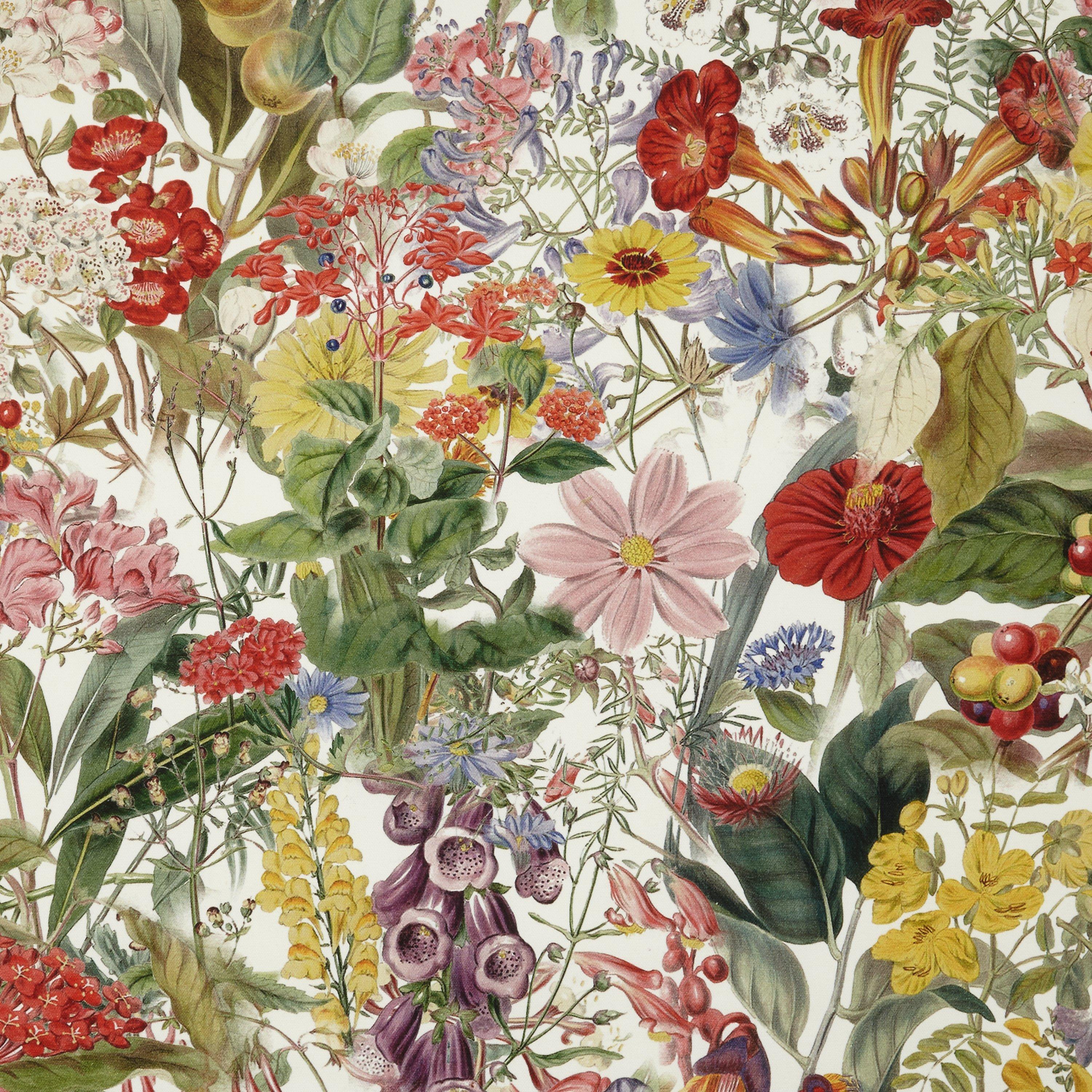 John Lewis & Partners Chelsea Floral Furnishing Fabric, Multi