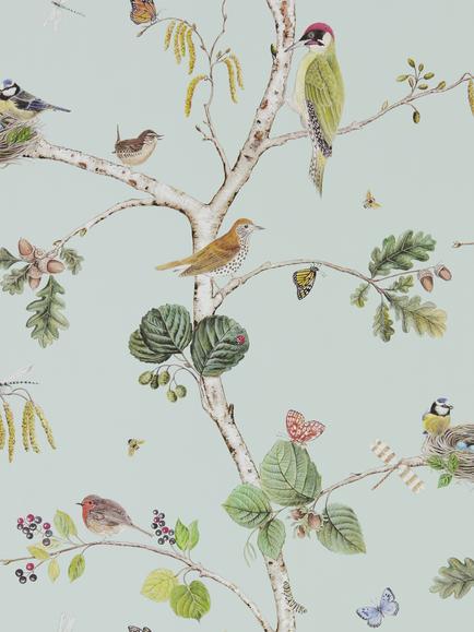 Sanderson Woodland Chorus Wallpaper, Sky Blue / Multi Dwow215706