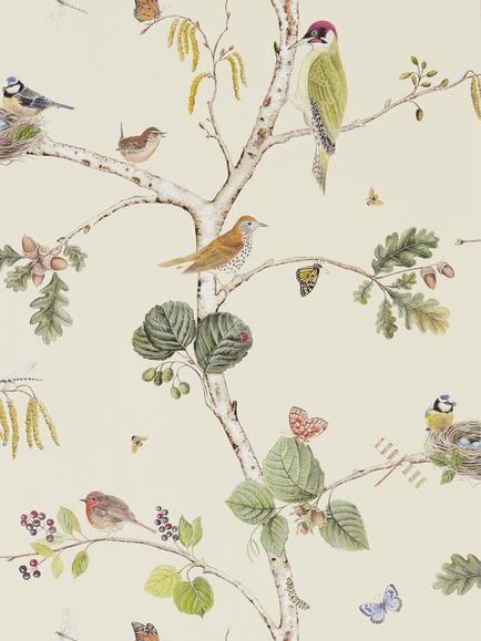 Sanderson Woodland Chorus Wallpaper, Cream / Multi Dwow215703