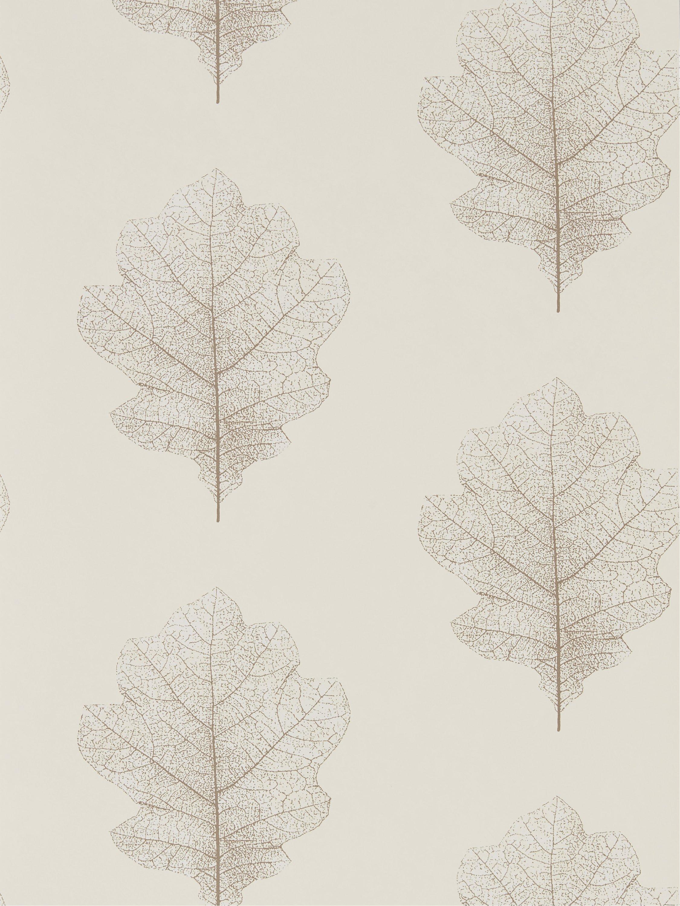 Sanderson Oak Filigree Wallpaper, Milk / Pearl DWOW215699