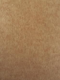 Osborne & Little Falcon Wallpaper, Copper W6901-01