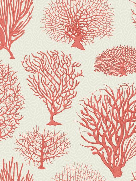 Cole & Son Seafern Wallpaper, Coral 107/2011