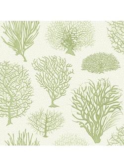 Cole & Son Seafern Wallpaper, Soft Green 107/2008